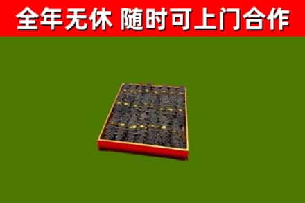 古城回收海参